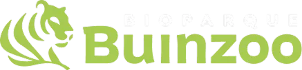 logo buinzoo